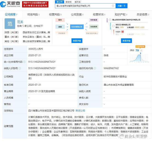 京东云计算进军眉山 三千万注册资本成立数字经济公司，聚焦经济信息咨询